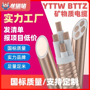 BTTZ电缆 国标纯铜矿物质绝缘电缆 金属护套耐火防爆工程电缆